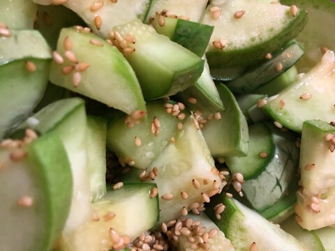 旬の野菜!摘果メロンのナムル